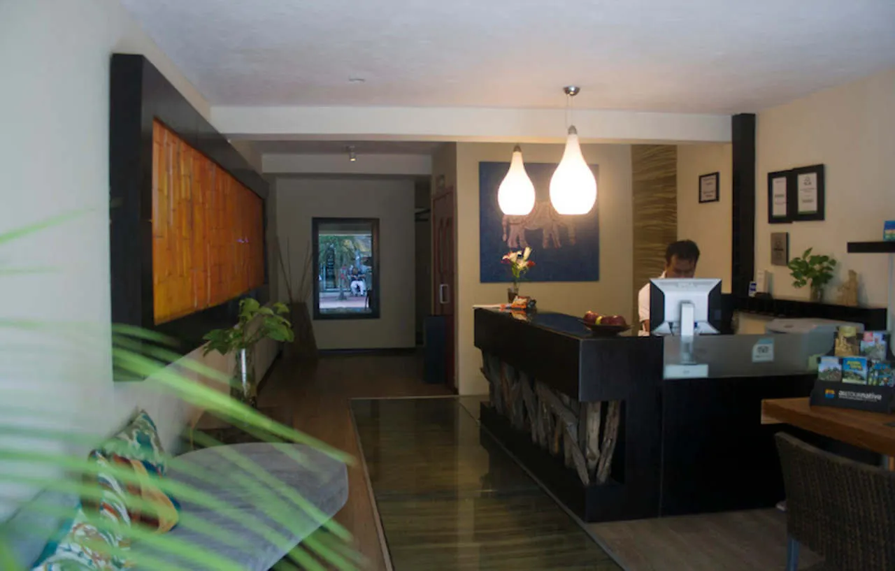 El Punto Boutique Hotel & Beach Club (Adults Only) 신데 델 카르멘 멕시코